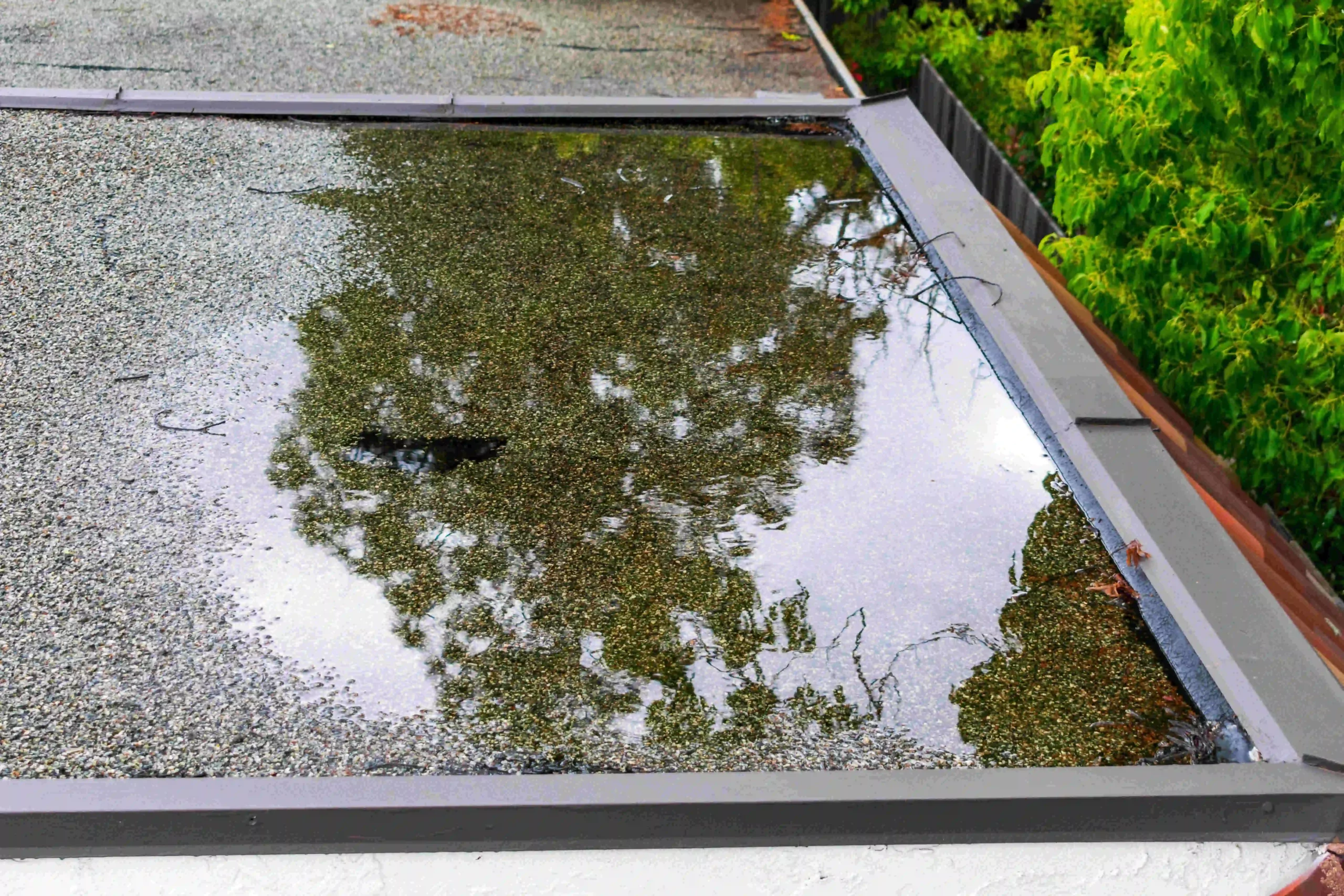 Rain Proof Aluminium Windows | Eternia