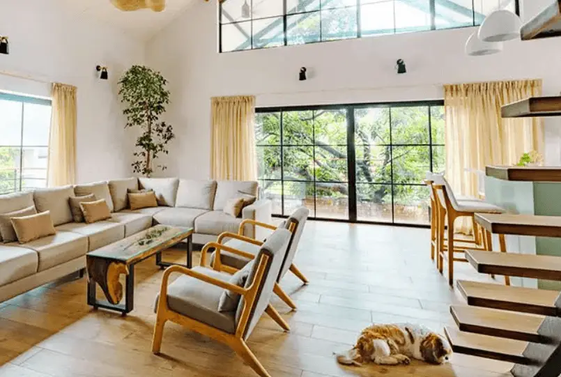 large windows for living room