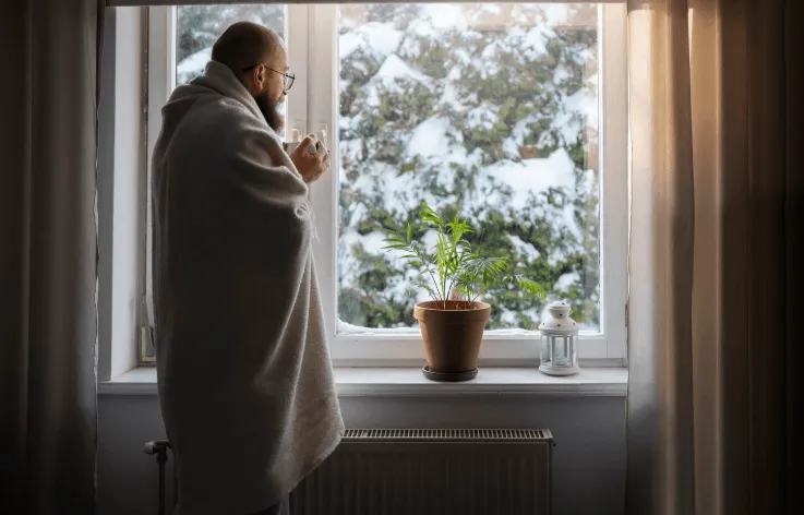 Protected Aluminium Windows For Seasonal Climates