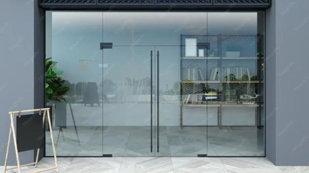 Modern glass doors for Contemporary Home